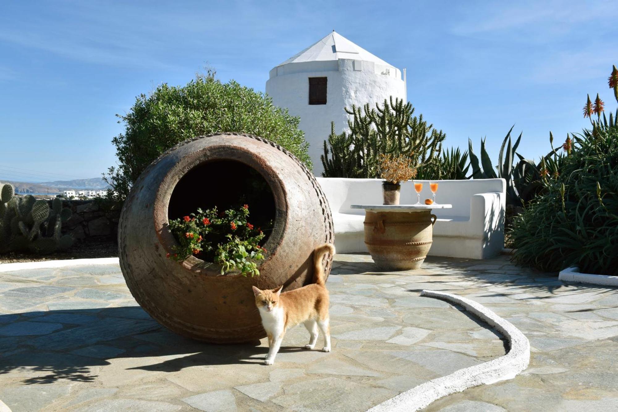 Anastasia'S Windmill And Anastasia'S Studio Plaka  Zewnętrze zdjęcie